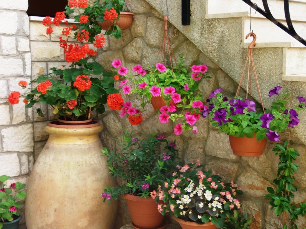 Apartments Beba Mali Lošinj Δωμάτιο φωτογραφία