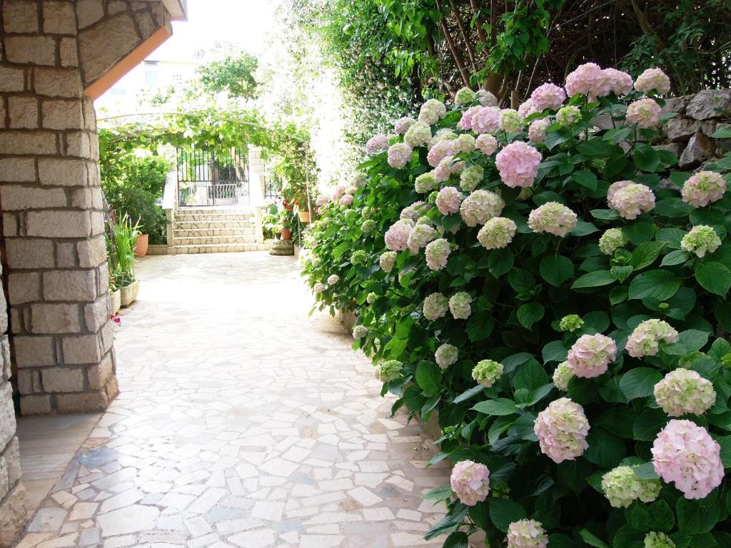 Apartments Beba Mali Lošinj Δωμάτιο φωτογραφία